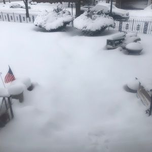 Meet your Posher, Carolyn